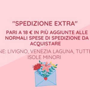 Spedizione Extra 18€